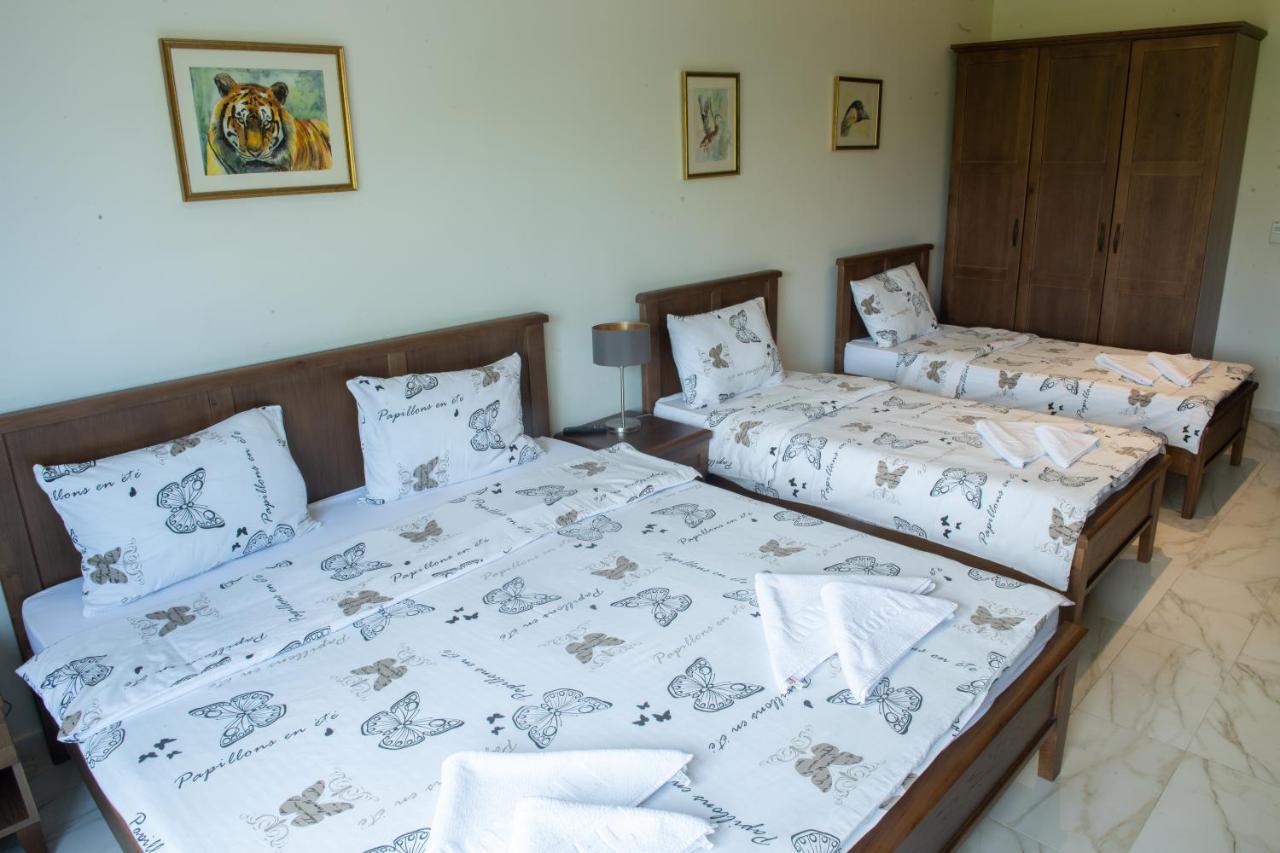 Zoo Misic Prenociste Hotel Vranje Luaran gambar
