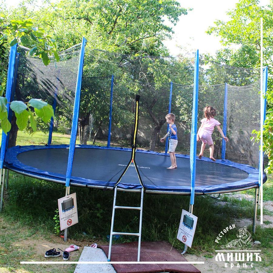 Zoo Misic Prenociste Hotel Vranje Luaran gambar