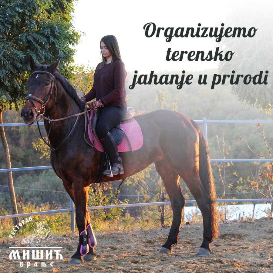 Zoo Misic Prenociste Hotel Vranje Luaran gambar